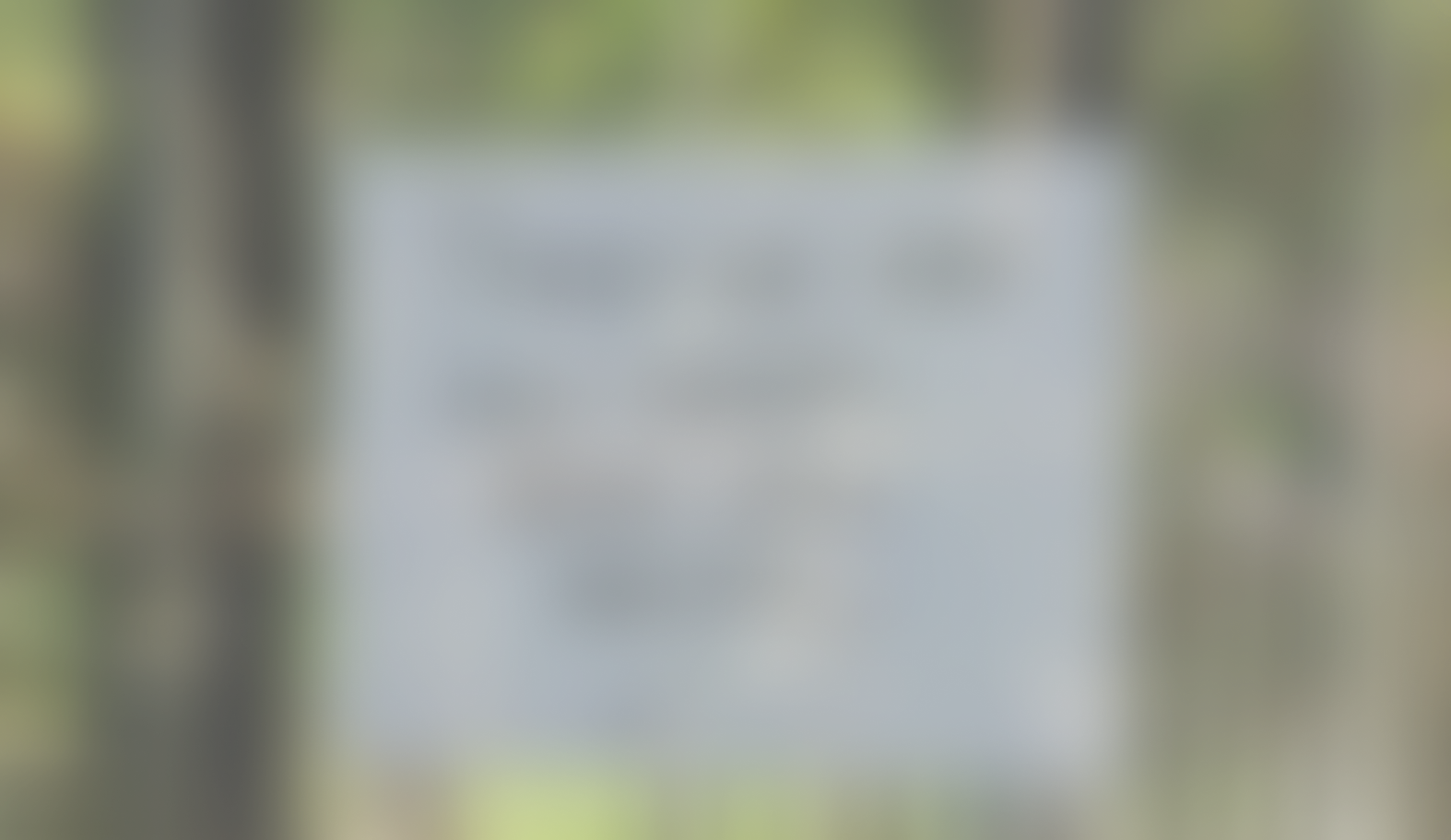 Master Plan Brochure - Page 2